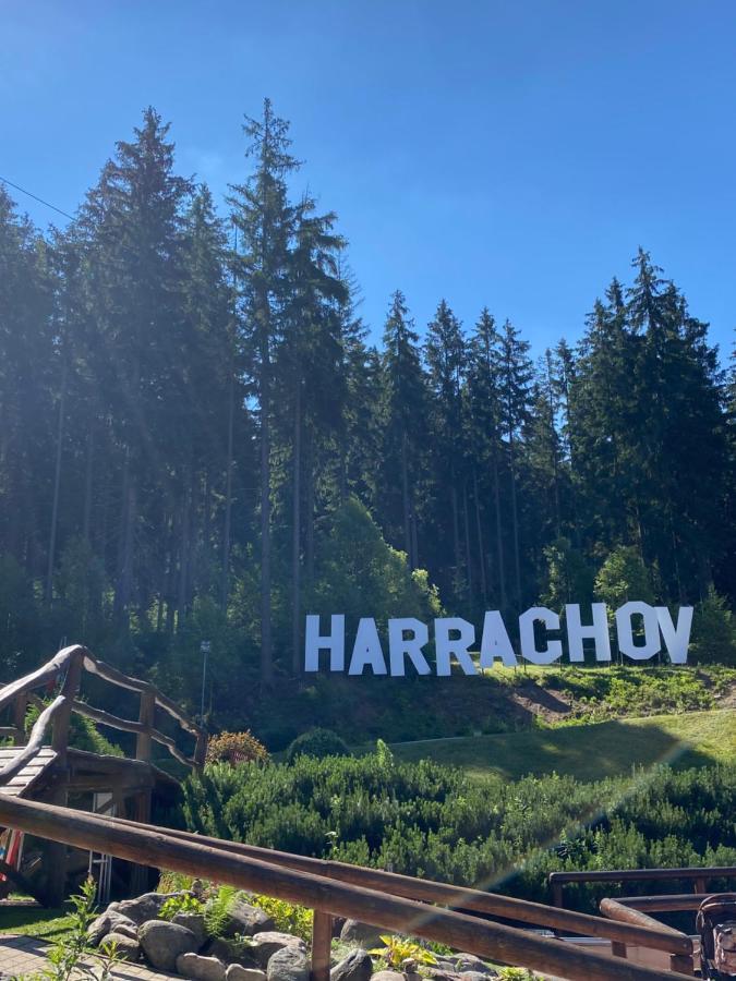 Apartmán č. 19 Harrachov Exterior foto